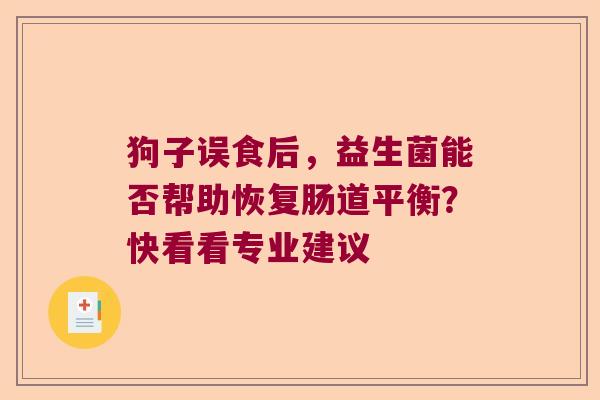 狗子误食后，益生菌能否帮助恢复肠道平衡？快看看专业建议
