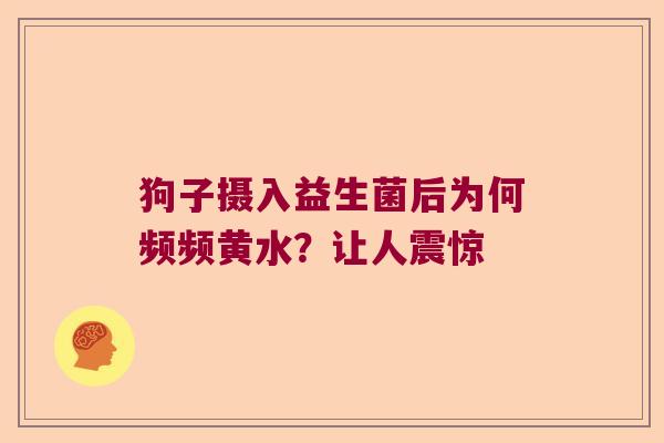 狗子摄入益生菌后为何频频黄水？让人震惊
