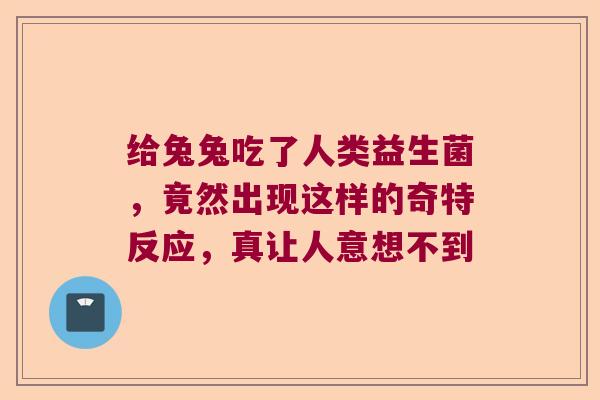 给兔兔吃了人类益生菌，竟然出现这样的奇特反应，真让人意想不到