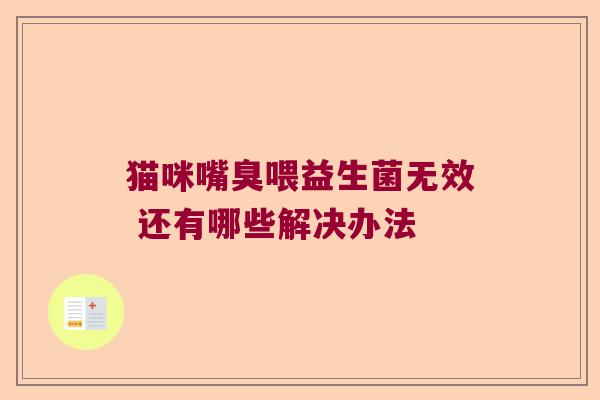 猫咪嘴臭喂益生菌无效 还有哪些解决办法