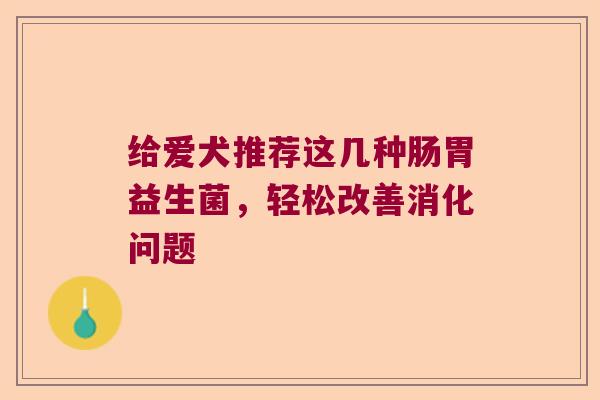 给爱犬推荐这几种肠胃益生菌，轻松改善消化问题