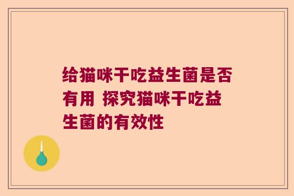 给猫咪干吃益生菌是否有用 探究猫咪干吃益生菌的有效性