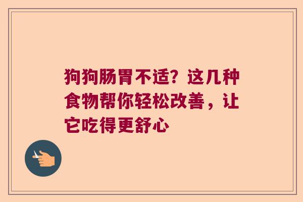狗狗肠胃不适？这几种食物帮你轻松改善，让它吃得更舒心