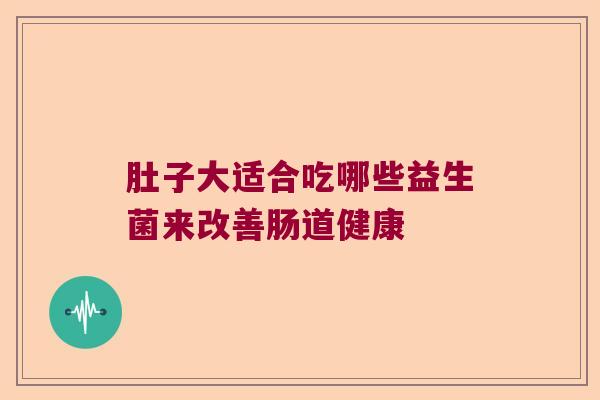 肚子大适合吃哪些益生菌来改善肠道健康