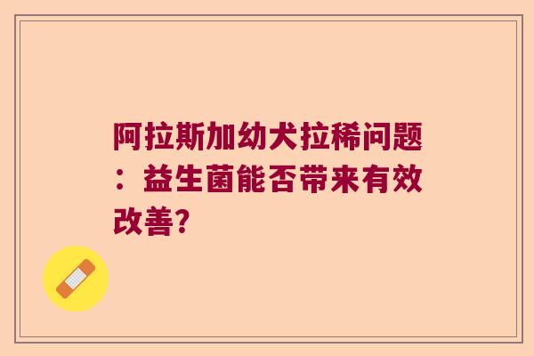 阿拉斯加幼犬拉稀问题：益生菌能否带来有效改善？